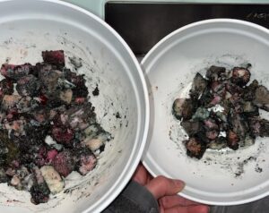 Hundeernährung: Hundefutter selbst gemacht