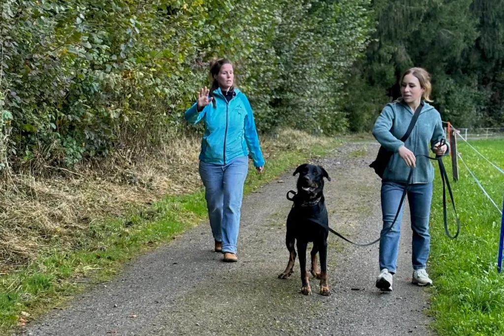 Linda erklärt im Training das Verhalten, eines grossen Hundes an der Schleppleine, im Wald bei Winterthur