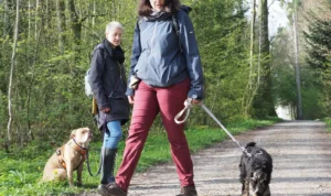 2 Frauen mit ihren Hunden üben Hundebegegnungen, eine Frau steht am Rand und ihr Hund sitzt, die andere läuft mit ihrem Hund an der Leine vorbei